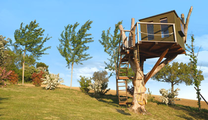 Erlebnisse rund um Montecarotto